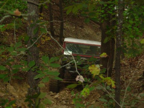 1983 Ford Bronco - 1983 Ford Bronco navigating a wooded trail with steep inclines.