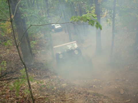 1983 Ford Bronco - Two SUVs navigate a dusty trail through a dense forest.