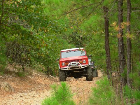 1983 Ford Bronco - A red SUV navigates a wooded trail, with another vehicle following closely behind.