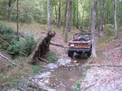 1983 Ford Bronco - Off-roading in a 1983 Ford Bronco through a wooded area with a fallen tree.