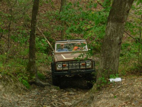 1983 Ford Bronco - A classic Ford Bronco navigates a wooded trail, its off-road capabilities.