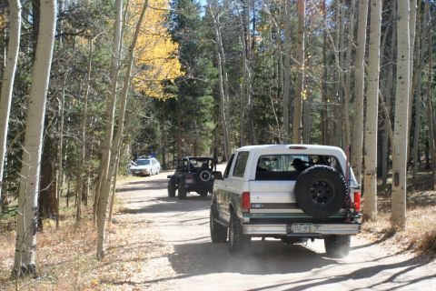 1996 Ford Bronco - A convoy of SUVs travels down a dusty forest road during autumn.