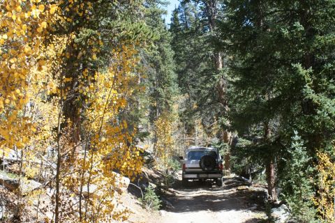 1996 Ford Bronco - A silver Ford Bronco navigates a dirt road surrounded by trees with yellowing leaves.