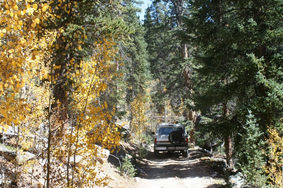 Silver Ford Bronco with spare tire on rear door driving on a dirt road through autumn trees