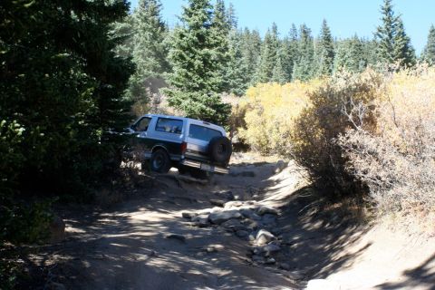 1996 Ford Bronco - A 1996 Ford Bronco navigates a challenging, rocky off-road path surrounded by trees and brush.
