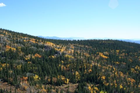 1996 Ford Bronco - A vast mountain scene displays a mix of evergreen and autumn foliage under a bright blue sky.