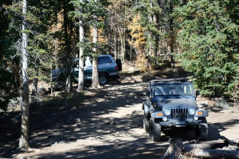 1996 Ford Bronco - A 1996 Ford Bronco and a Jeep Wrangler navigate a wooded trail on a sunny autumn day.