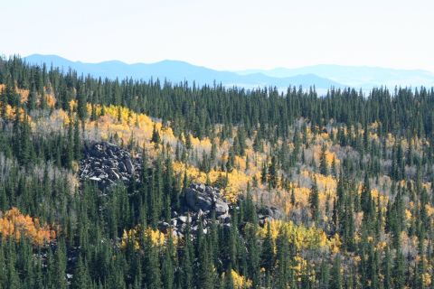 1996 Ford Bronco - A scenic view of a forest transitioning to autumn colors with a backdrop of distant mountain ranges.