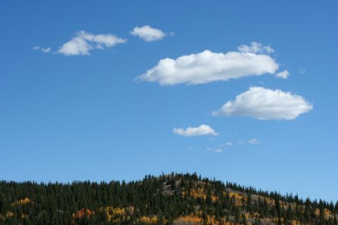 1996 Ford Bronco - A landscape scene with a clear blue sky and a forest-covered hill.