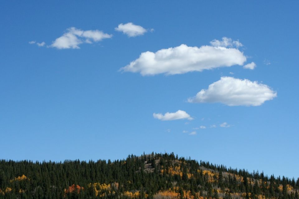 Blue sky with scattered clouds over a dense forest on a hill