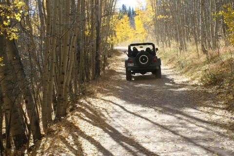 1996 Ford Bronco - A Jeep Wrangler travels down a dirt road surrounded by trees with yellow and green leaves.