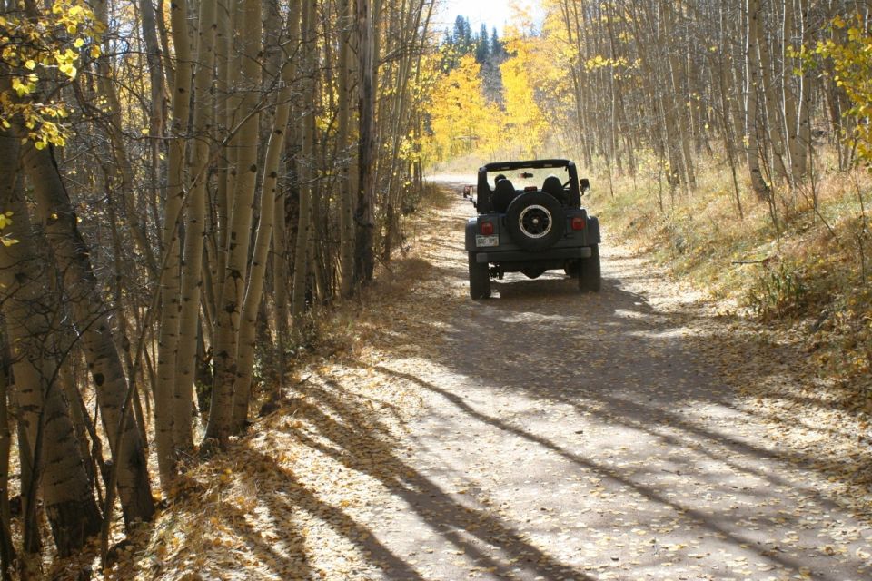black Jeep Wrangler drives down a leaf-covered dirt road lined with aspen trees in autumn