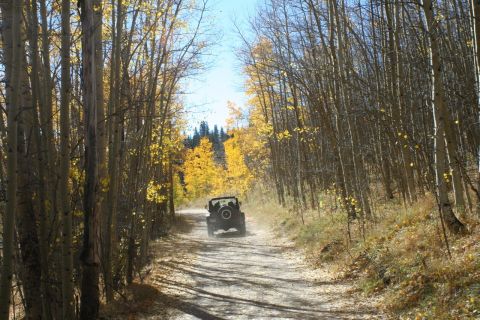 1996 Ford Bronco - A Jeep Wrangler navigates a dusty road surrounded by trees with yellowing leaves.