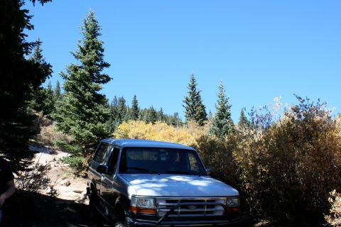 1996 Ford Bronco - 1996 Ford Bronco on a trail surrounded by trees and foliage under a clear blue sky.