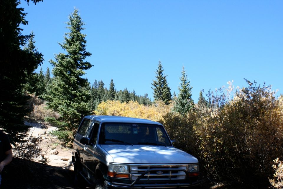 1996 Ford Bronco parked on a dirt road with trees and bushes