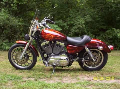 2010 Harley-Davidson Electra Glide - Motorcycle with custom flame paint, dated 08/06/2010 in the corner.