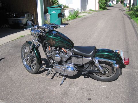 2010 Harley-Davidson Electra Glide - A green Harley-Davidson motorcycle with flame graphics is parked on an asphalt driveway.