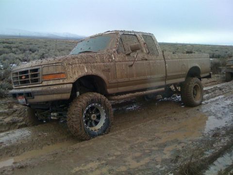 1989 Ford Bronco - Mud-caked 1987 Ford F-Series pickup truck navigating a muddy terrain.