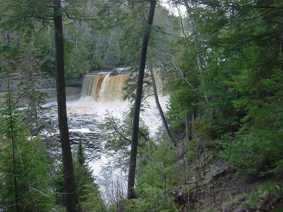 Waterfall cascading into a river, surrounded by dense green forest
