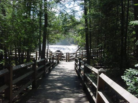 1996 Ford Bronco - A scenic view of a river accessible by a wooden boardwalk in a forest setting.