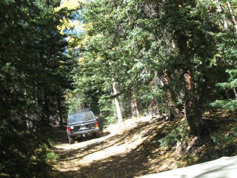 1978 Ford Bronco - A black SUV navigates a wooded trail, kicking up dust on the unpaved road.
