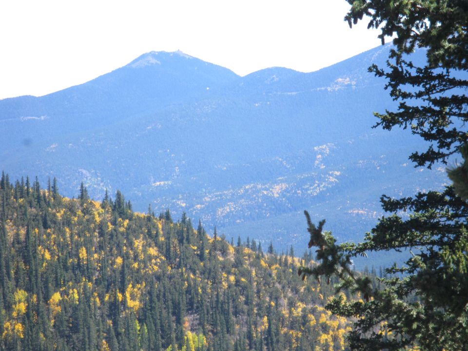 Mountains and trees in a forest landscape