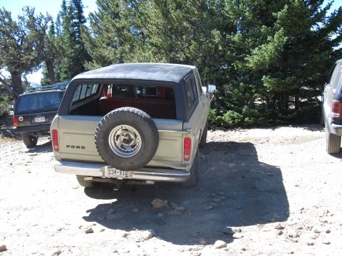 1978 Ford Bronco - Rear view of a silver SUV with a spare tire mounted on the tailgate, parked outdoors.