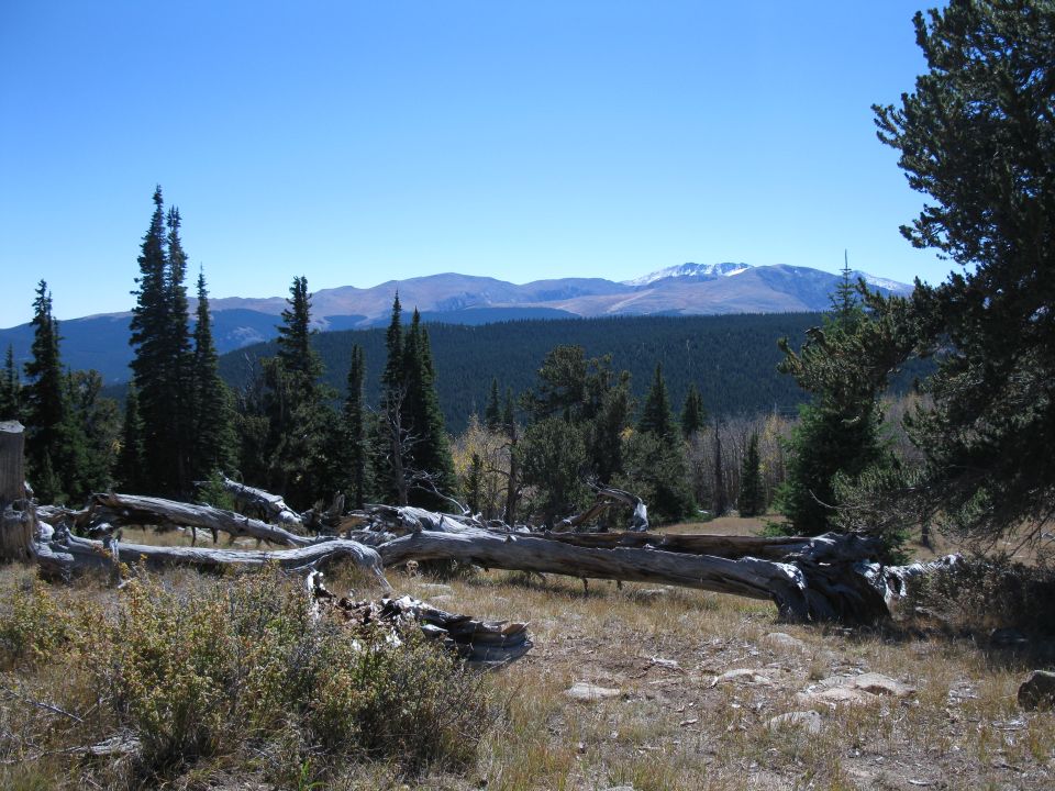 SUV parked on dirt road with trees and mountains in background
