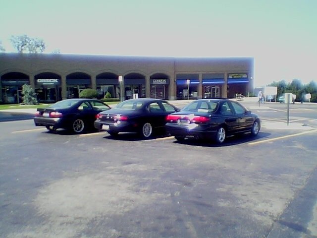 Three 1999 Ford Tauruses parked in a lot, rear view