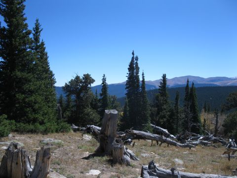 1978 Ford Bronco - Mountain landscape with pine trees, deadwood, and distant mountains under a clear blue sky. Watermark reads SUPERMOTORS.