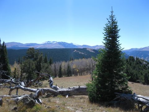 1978 Ford Bronco - A scenic mountain landscape with fallen trees and a dense forest under a clear blue sky.