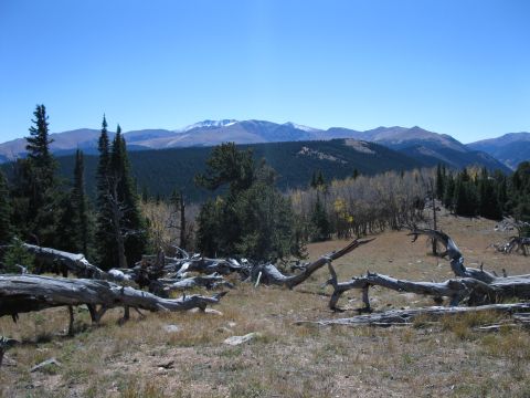 1978 Ford Bronco - A scenic view of mountains and dead trees under a clear blue sky.