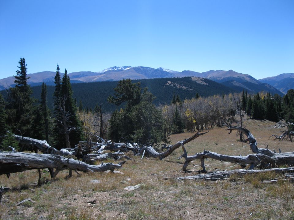 Mountain landscape with fallen trees and a blue sky