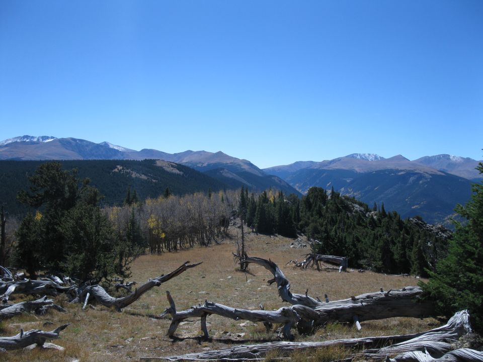 Mountain landscape with dead trees in the foreground and snow-capped mountains in the distance