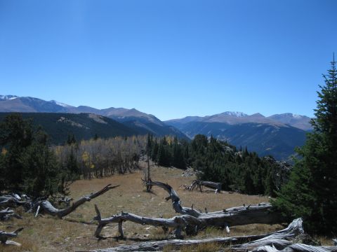 1978 Ford Bronco - A vast mountain landscape unfolds under a clear blue sky, with fallen trees dotting the foreground.