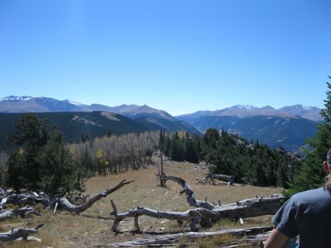 1978 Ford Bronco - A scenic mountain vista under a clear blue sky, with fallen trees in the foreground and a person observing the view.