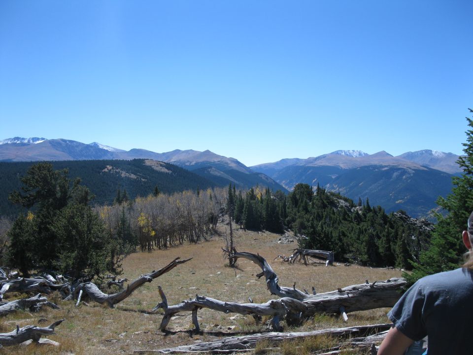 Mountain landscape with dead trees and a person in the foreground