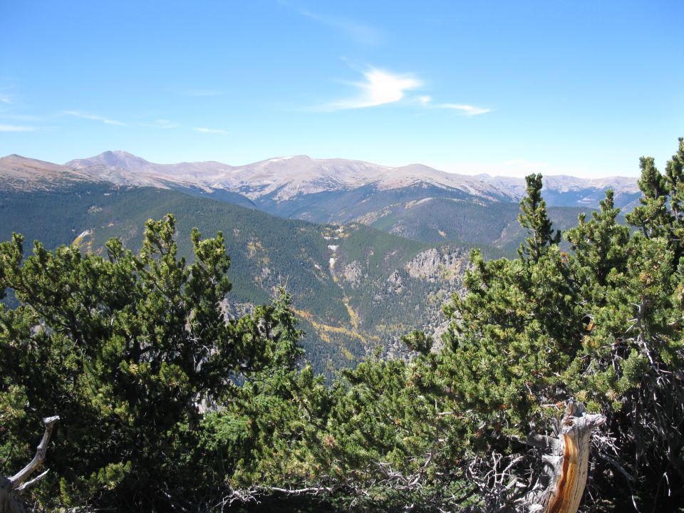 Mountain landscape with pine trees in the foreground and distant mountains under a blue sky