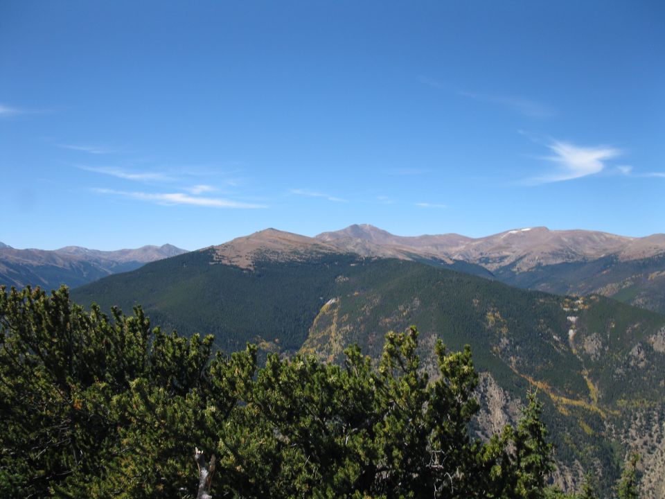 Mountain range with pine trees in the foreground under a clear blue sky