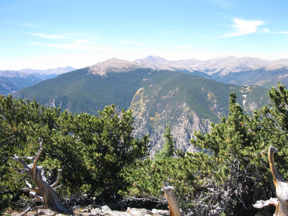 Mountain landscape with pine trees and a watermark for Supermotors.net