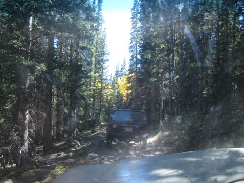1978 Ford Bronco - A dark-colored SUV navigates a wooded trail under a bright sky.