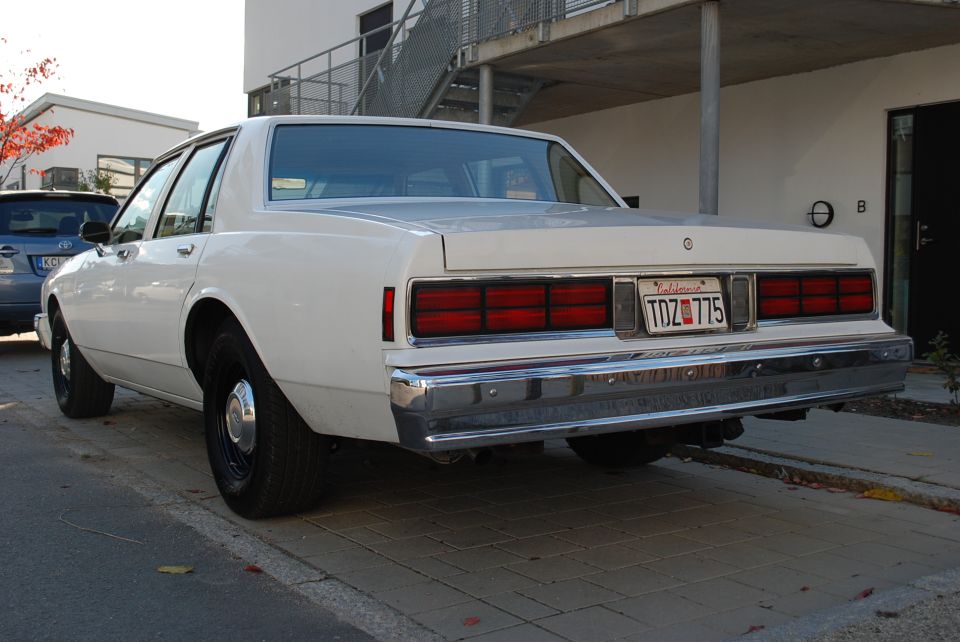 Rear view of a white 1980s sedan parked on a sidewalk. It has a chrome bumper and horizontal taillights