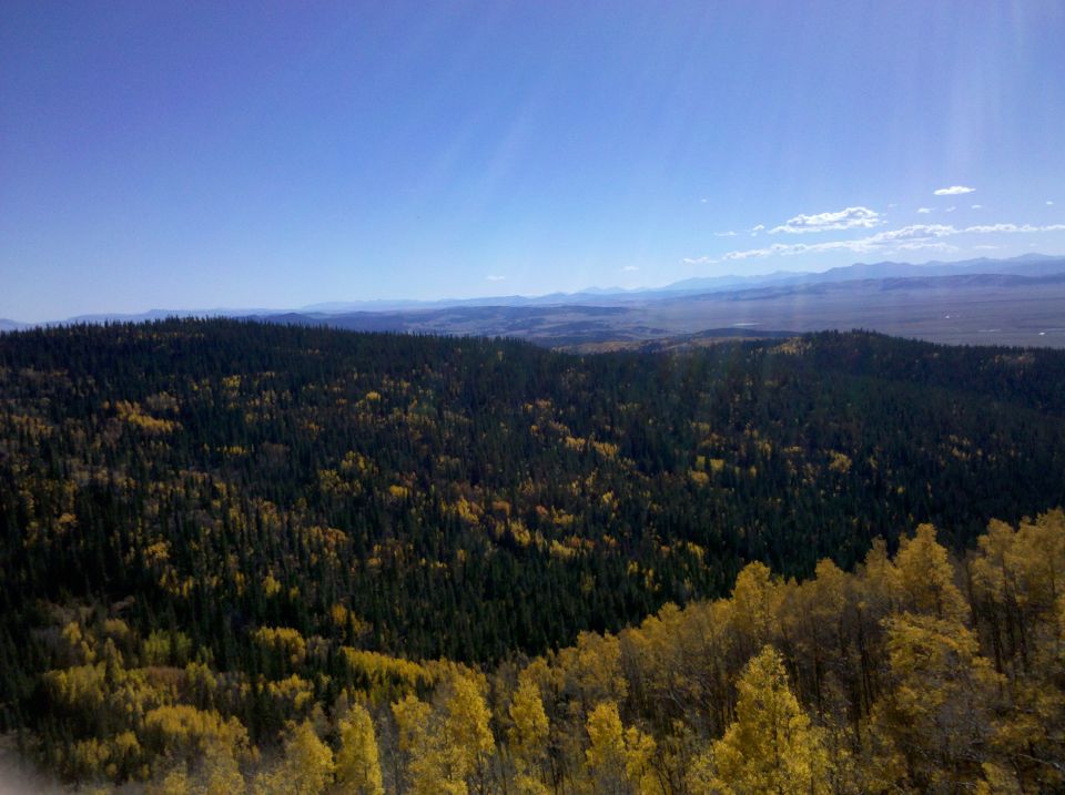 Forest landscape with yellow and green trees, distant mountains under a blue sky