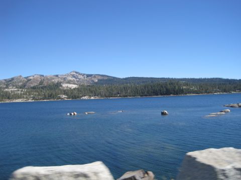 1989 Ford Bronco - A scenic view of a lake surrounded by pine trees and mountains on a clear day.