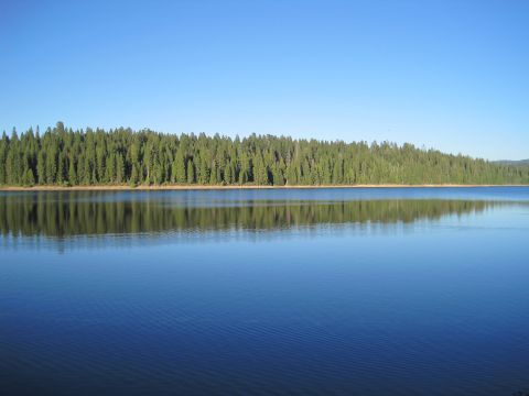 1989 Ford Bronco - A landscape a tranquil lake bordered by a thick evergreen forest on a bright, clear day.