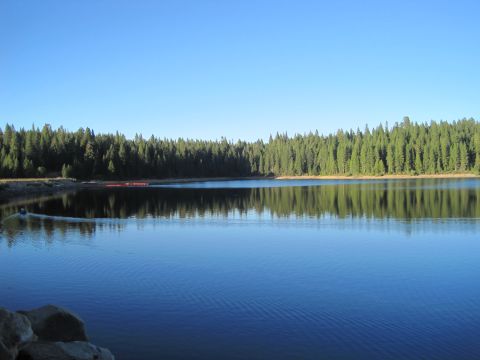 1989 Ford Bronco - A calm lake reflects a dense forest under a clear blue sky.