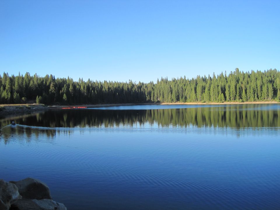 Lake with pine trees lining the shore and a person on a jet ski