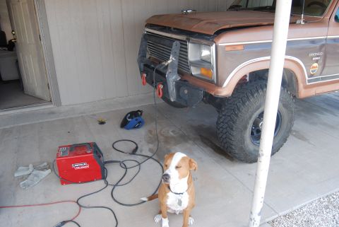 1982 Ford Bronco - A dog sits patiently next to a vintage Ford Bronco and welding equipment in a garage.