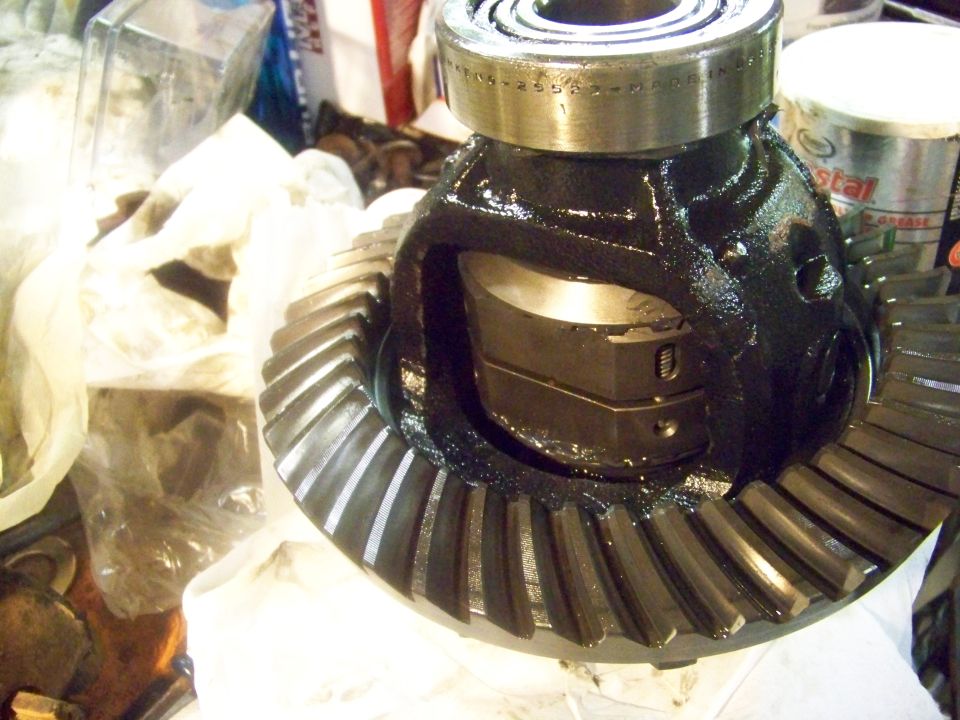 Differential gear assembly with bearing and teeth visible
