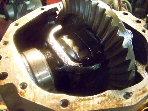 1989 Ford Bronco - Differential gears and housing shown in detail.